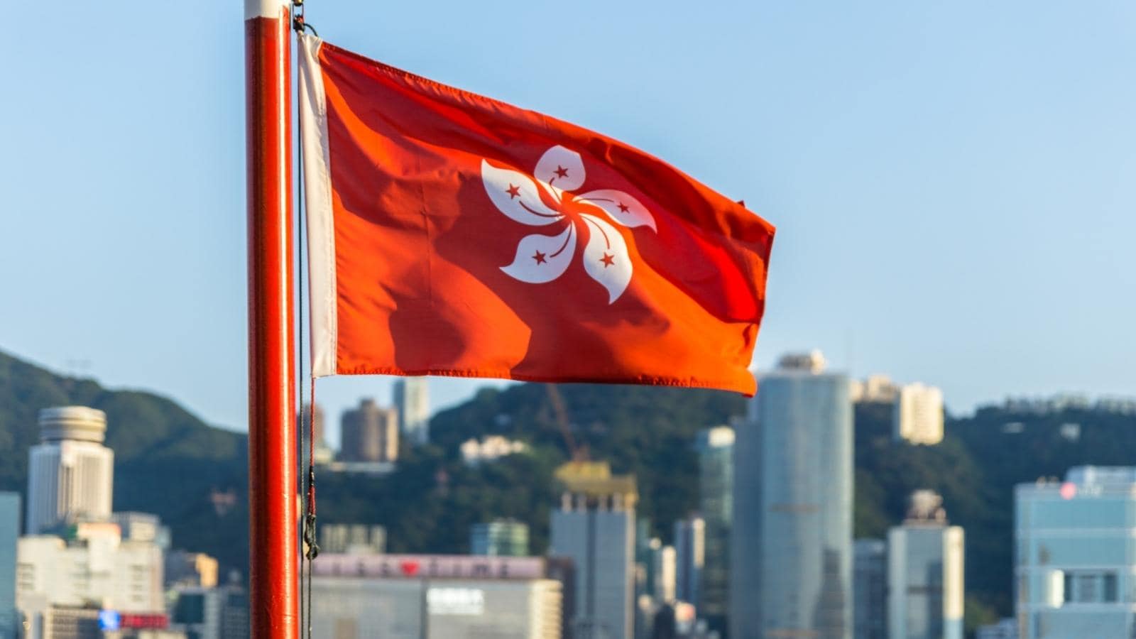 內地企業出海服務體系