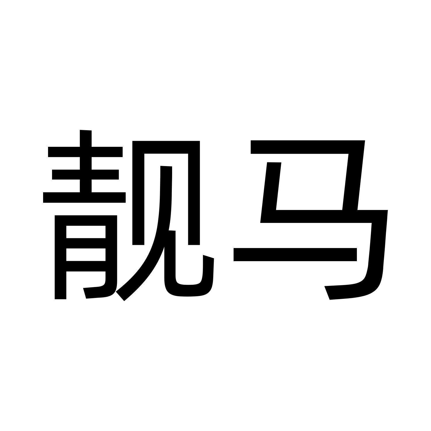 廣東靚馬資訊科技有限公司圖標